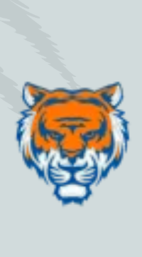 Tigerfair