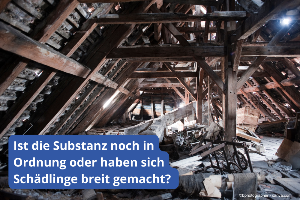 Schäden und Probleme bei der Dachsanierung
