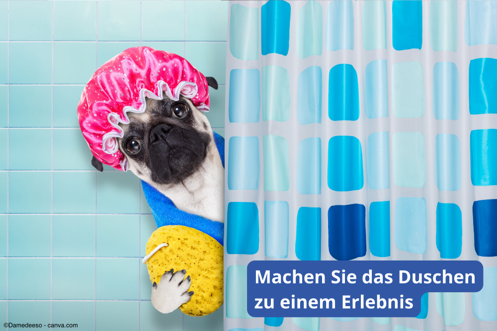 Badezimmer renovieren: Ideen für Ihre Dusche