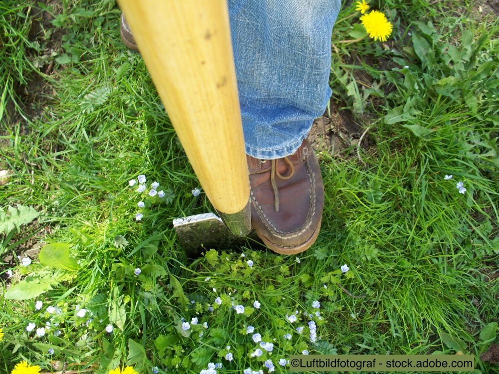 coup de bêche vertical
