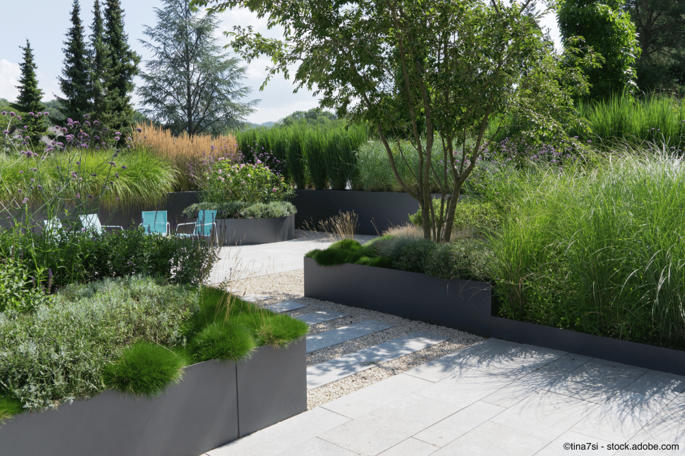 Stellriemen in einem Garten