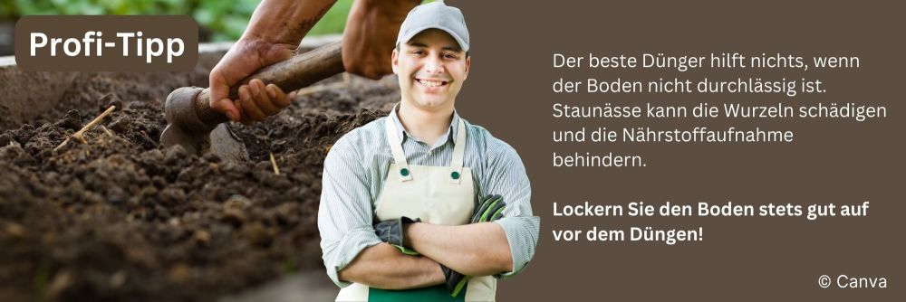 kirschbaum dünger Bio-Kirschbaum-Dünger kaufen main image 0