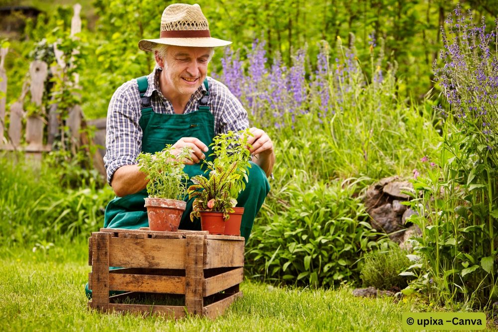 Gartenarbeiten im Frühling: So machen Sie Ihren Garten startklar