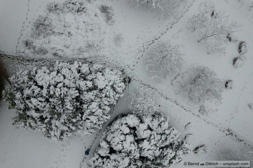 So gehen Sie vor, wenn Sie Ihren Garten winterfest machen