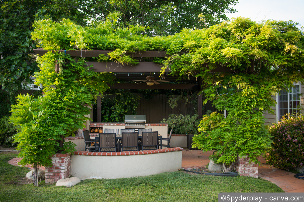 Die schönsten Ideen für das Bepflanzen Ihrer Pergola