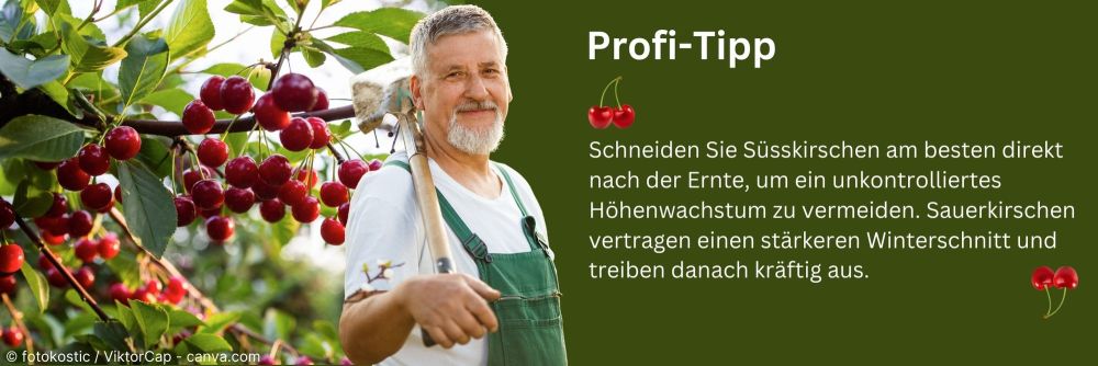 natrl dnger Natrlicher Pflanzen Dnger: PflanzenWunder & BodenWunder fr Wachstum   deNatura