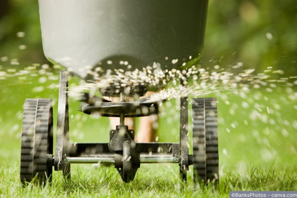 Rasen düngen: So bleibt Ihre Rasenfläche schön und gesund