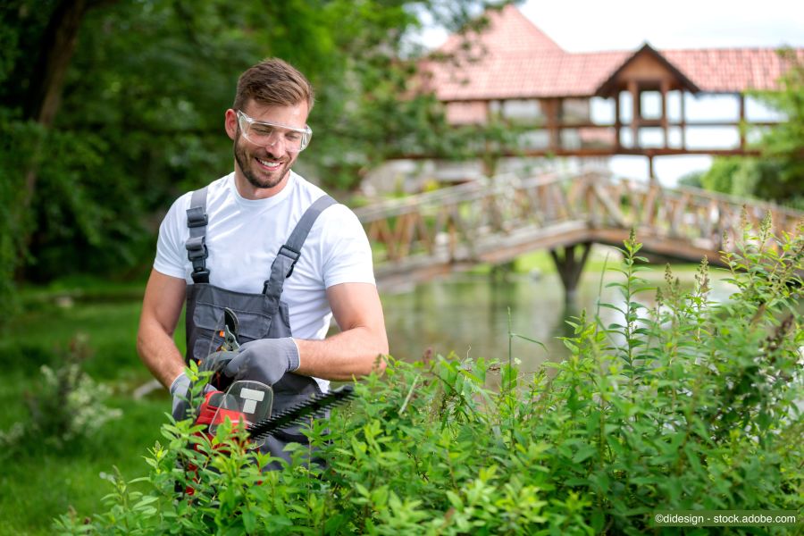 Junger Gärtner schneidet Sträucher