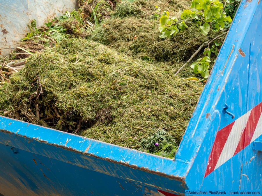 Les déchets verts sont déposés dans un conteneur bleu