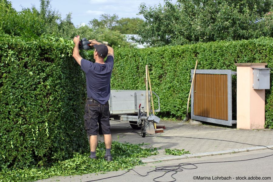 Hauswart schneidet eine Hecke mit einer elektrischen Heckenschere