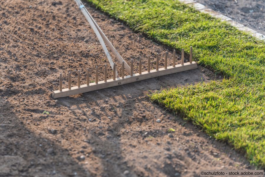 Rasen neu anlegen leicht gemacht – Der grosse Ofri-Ratgeber
