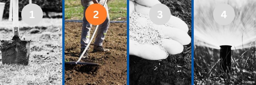 Rasen neu anlegen  Anleitung, Tipps, Kosten im berblick