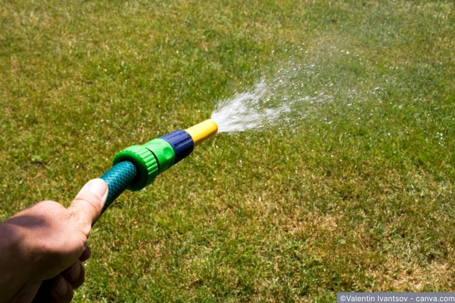 Rasen dngen: Anleitung fr sattgrnen Rasen | ofri.ch