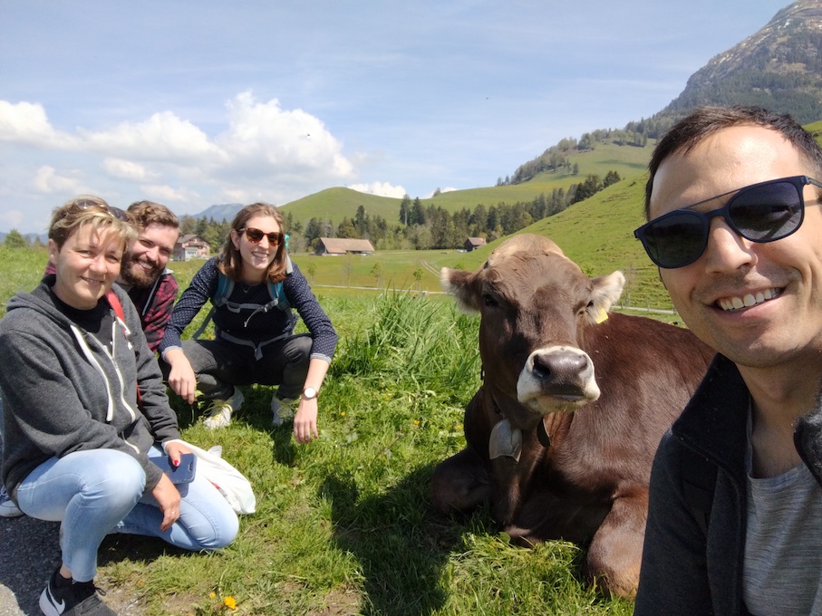 Ofri Team mit Kuh in den Bergen