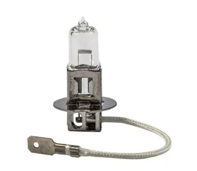 H3 Lamp Bulb 12V100W