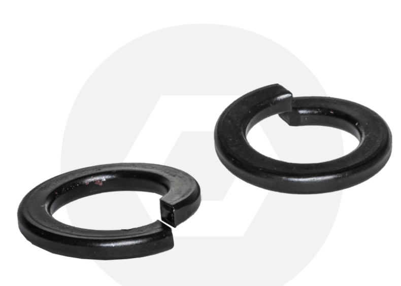 M12 Spring Washer