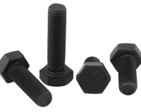 Bolt M10x1.25x16