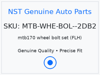 mtb170 wheel bolt set (FLH)