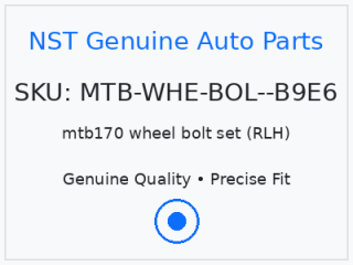 mtb170 wheel bolt set (RLH)
