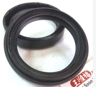 PT Saga 12V Front Wheel Oil Seal