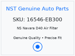 NS Navara D40 Air Filter