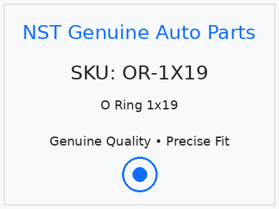 O Ring 1x19