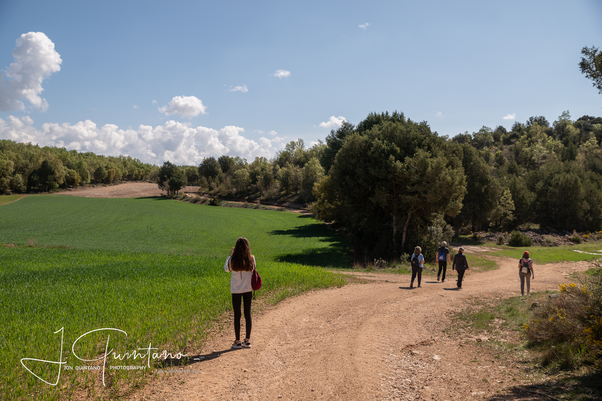 Conociendo la Apicultura Tradicional (Pineda Trasmonte) - 1