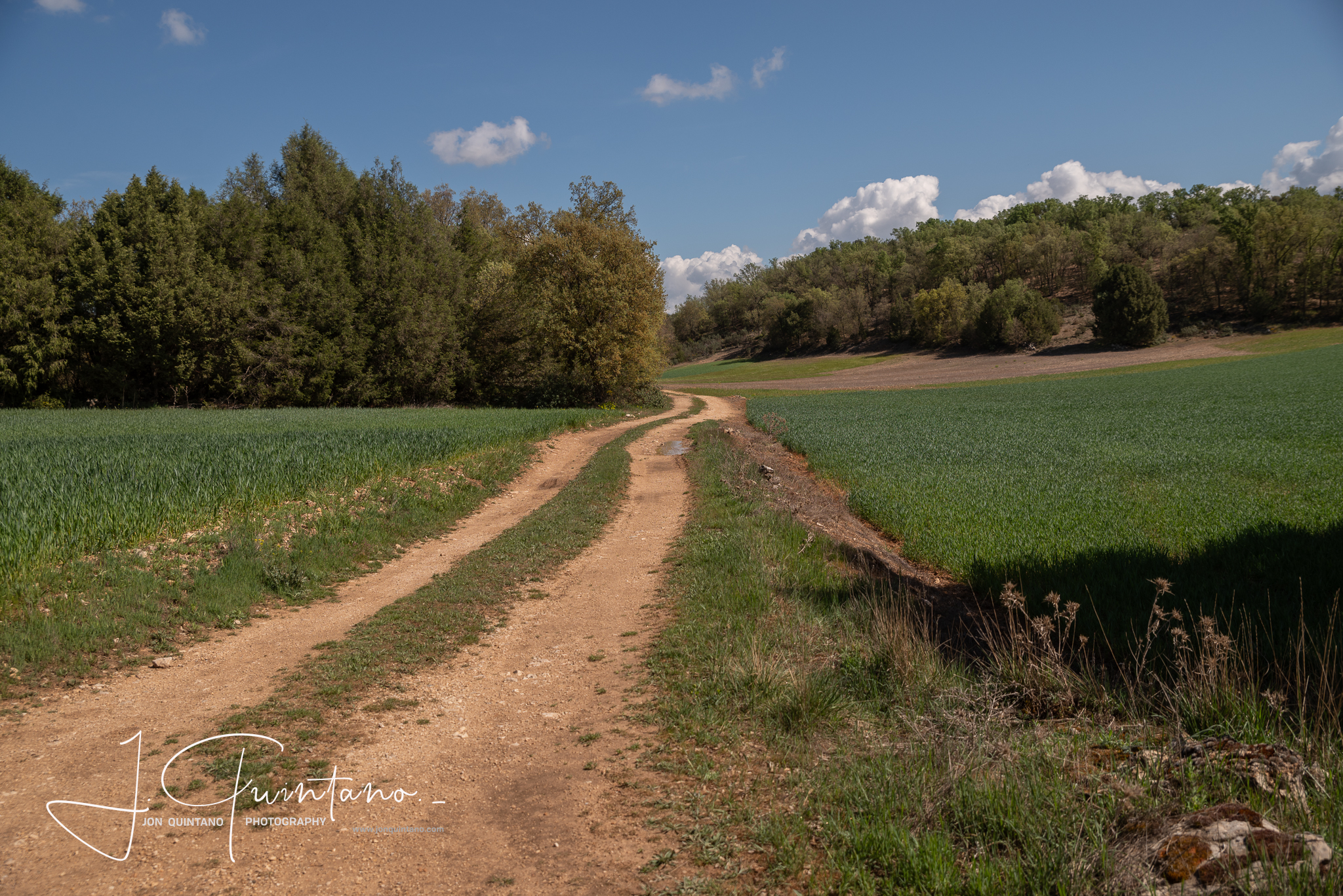 Conociendo la Apicultura Tradicional (Pineda Trasmonte) - 2
