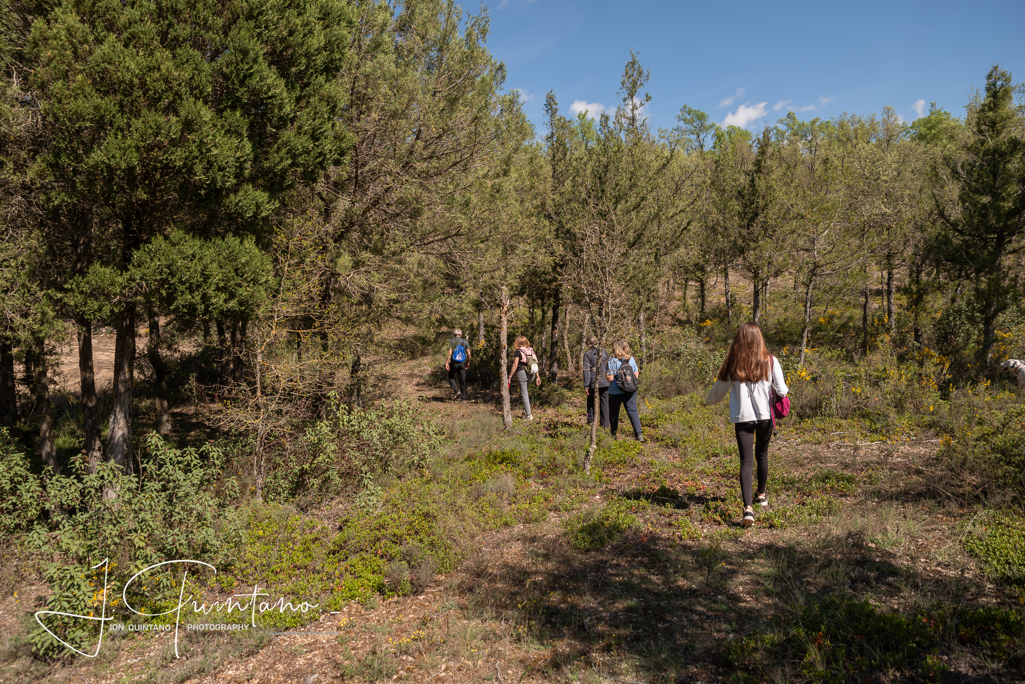 Conociendo la Apicultura Tradicional (Pineda Trasmonte) - 4