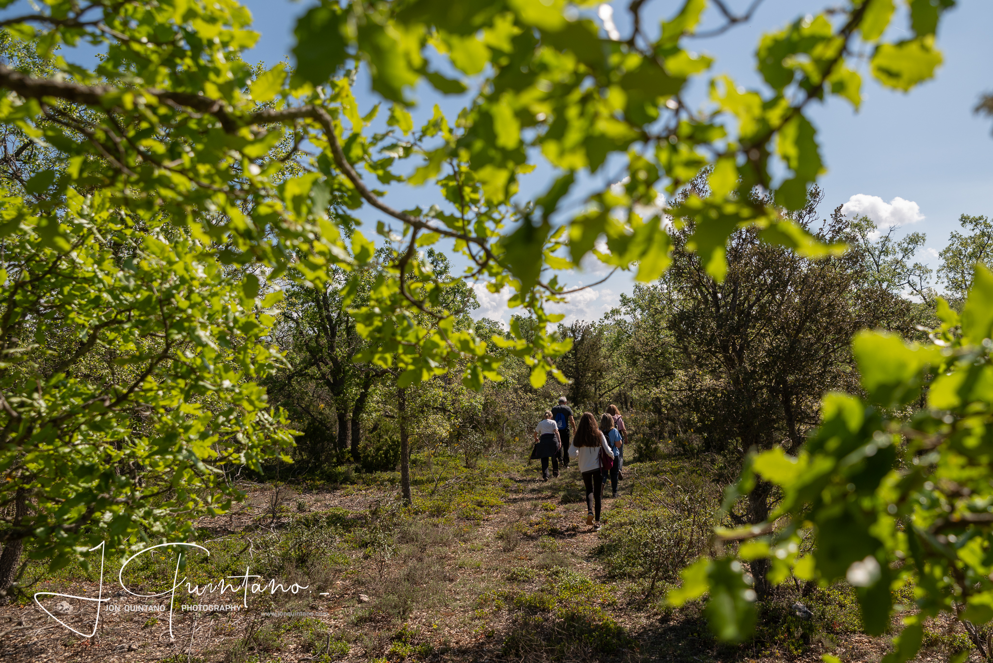 Conociendo la Apicultura Tradicional (Pineda Trasmonte) - 7