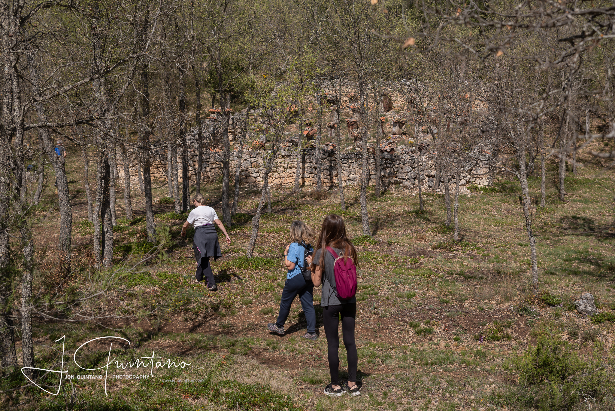 Conociendo la Apicultura Tradicional (Pineda Trasmonte) - 9