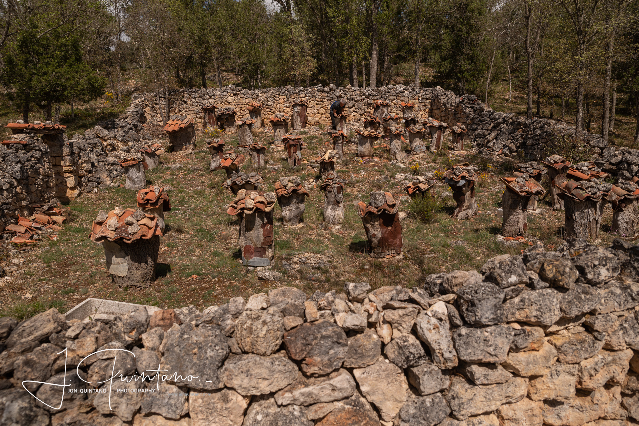 Conociendo la Apicultura Tradicional (Pineda Trasmonte) - 11