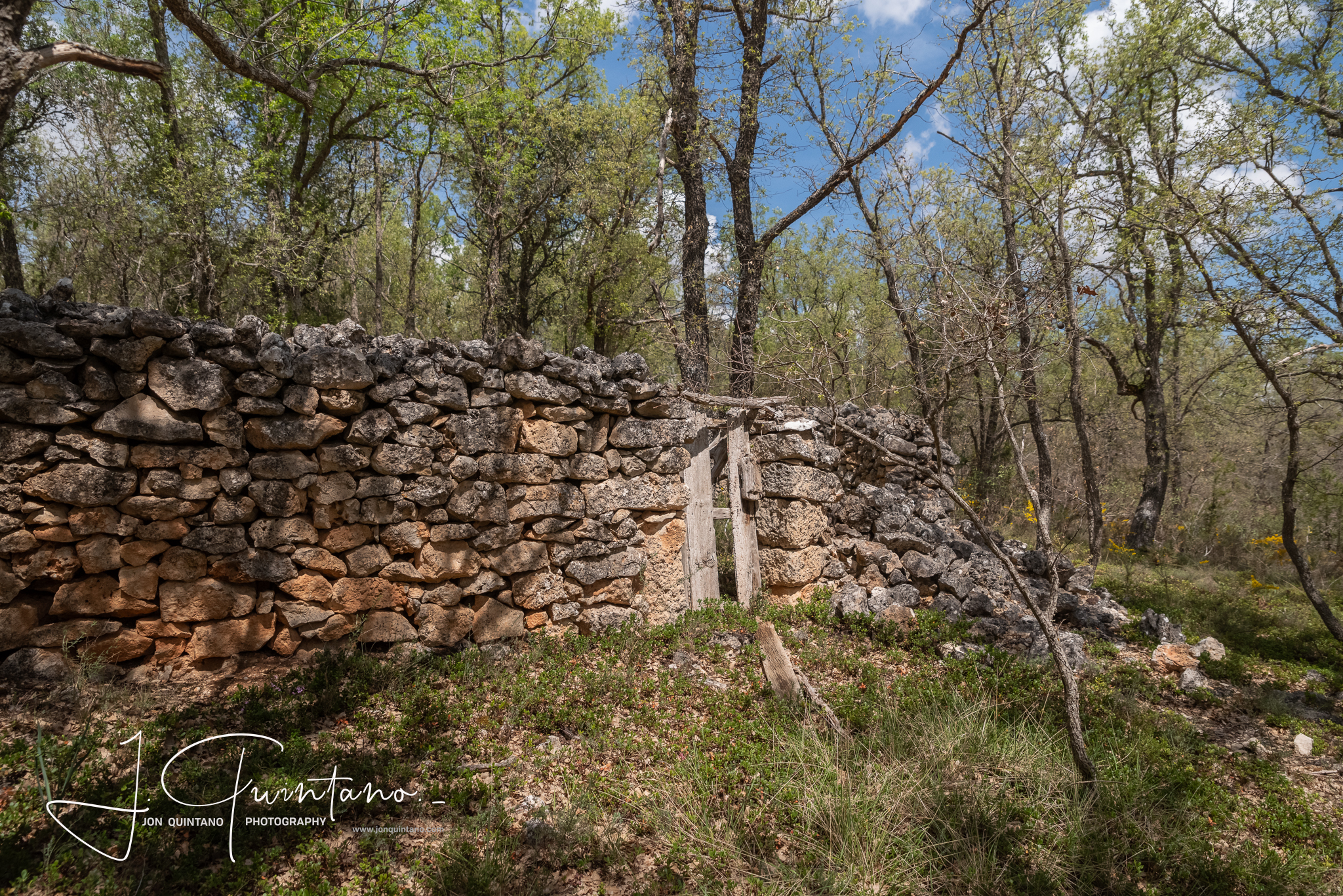 Conociendo la Apicultura Tradicional (Pineda Trasmonte) - 18