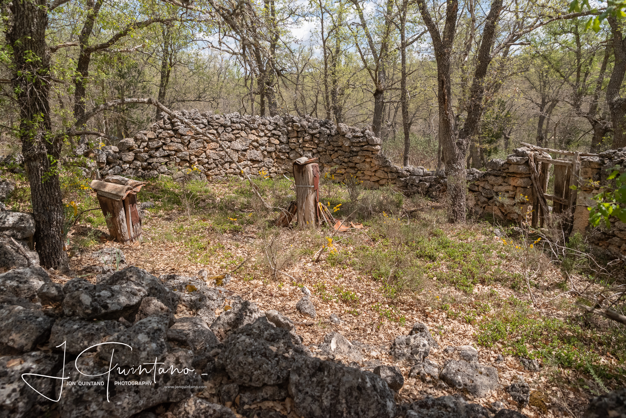 Conociendo la Apicultura Tradicional (Pineda Trasmonte) - 19