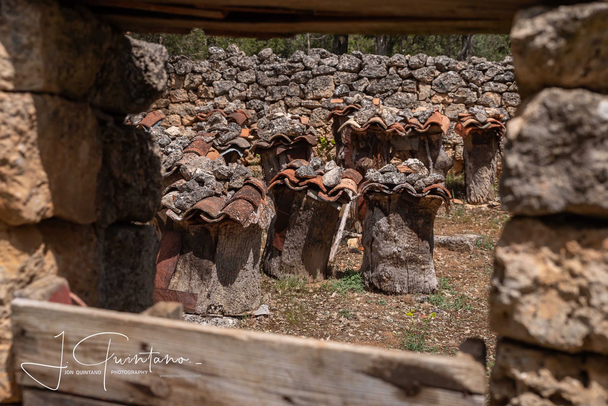 Conociendo la Apicultura Tradicional (Pineda Trasmonte) - 22