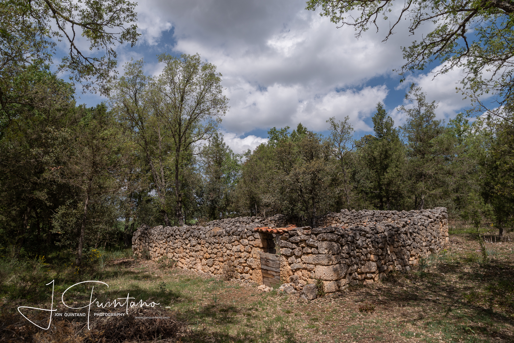 Conociendo la Apicultura Tradicional (Pineda Trasmonte) - 23