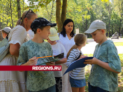 Новые инициативы по улучшению городской инфраструктуры