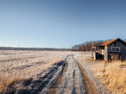 Доходы от управления госимуществом в Подмосковье увеличились на 4 млрд рублей