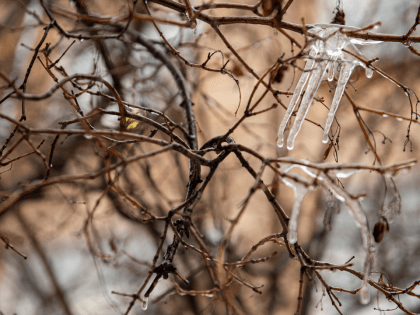 Циклон принесет «апрельскую оттепель» в Жуковский 6 января