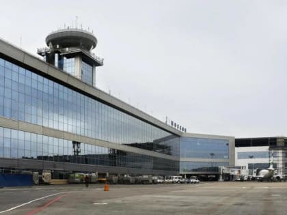 Стали известны детали подачи иска к Домодедово заместителем Краснова