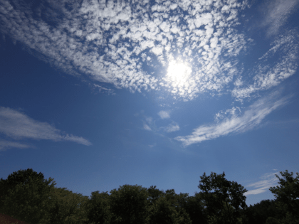 Влияние изменения климата на здоровье населения