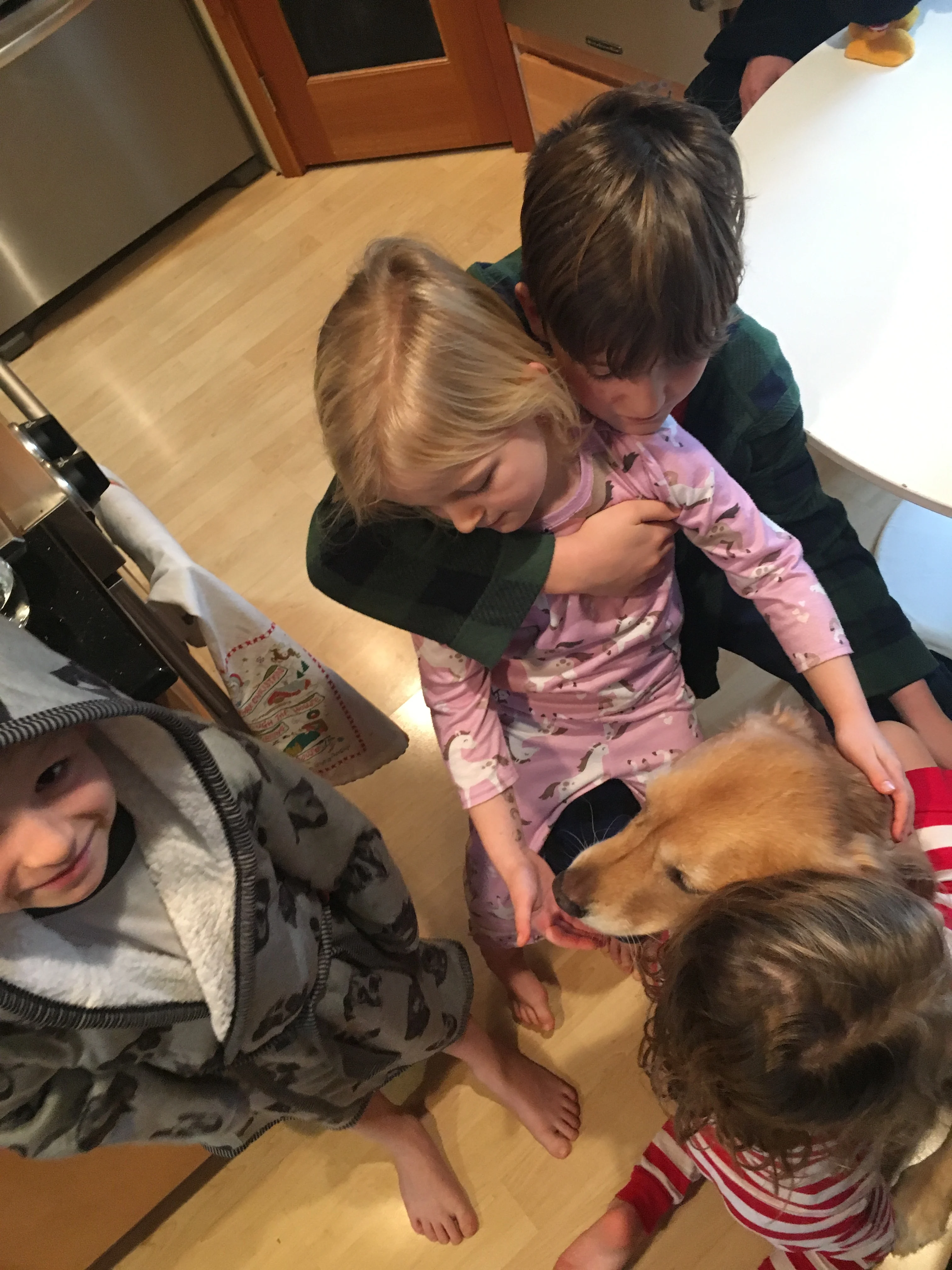 Newton the golden retriever is surrounded by 4 of his young cousins ranging in age from 3 to 8. He seems very happy to have small friends to play with.
