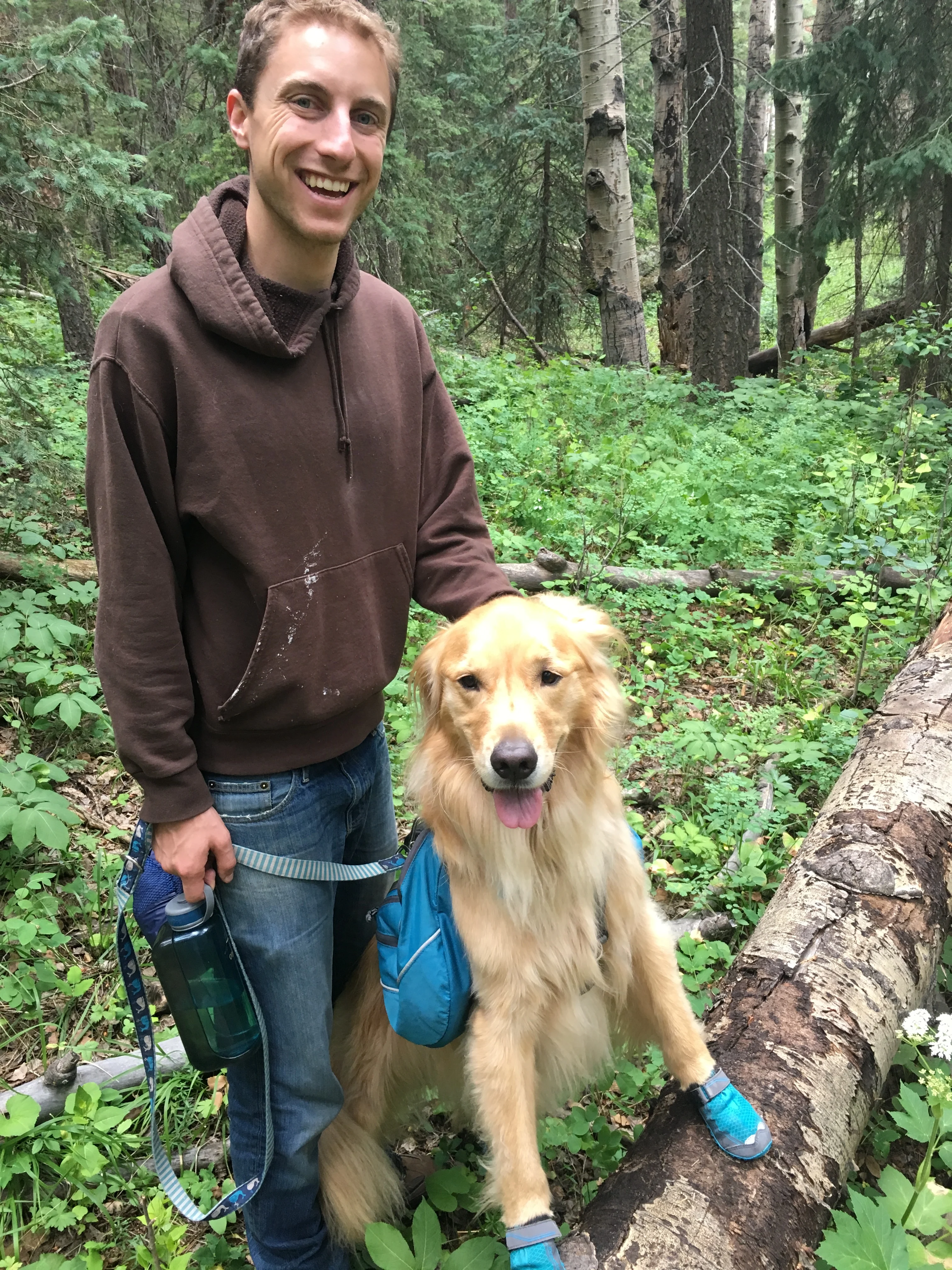 Newton the golden retriever posing next to his dad while on a hike in the mountains. His front feet are up on a downed log and he is very happy.
