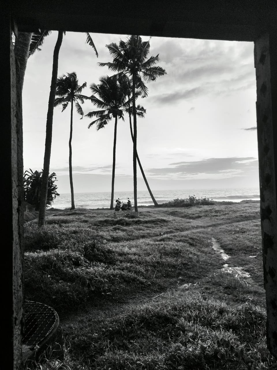 Image 13