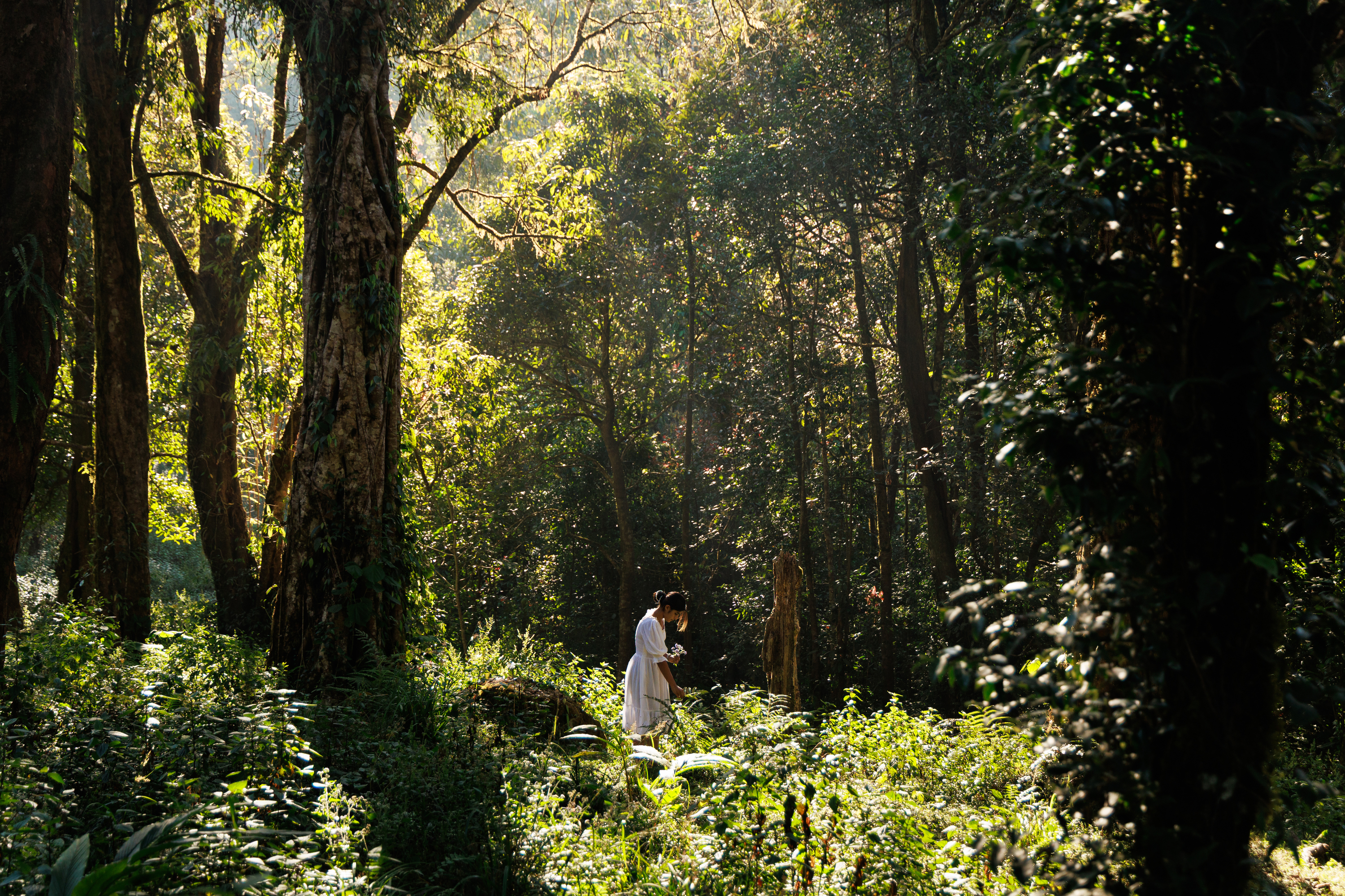 Jungle Park photo 11