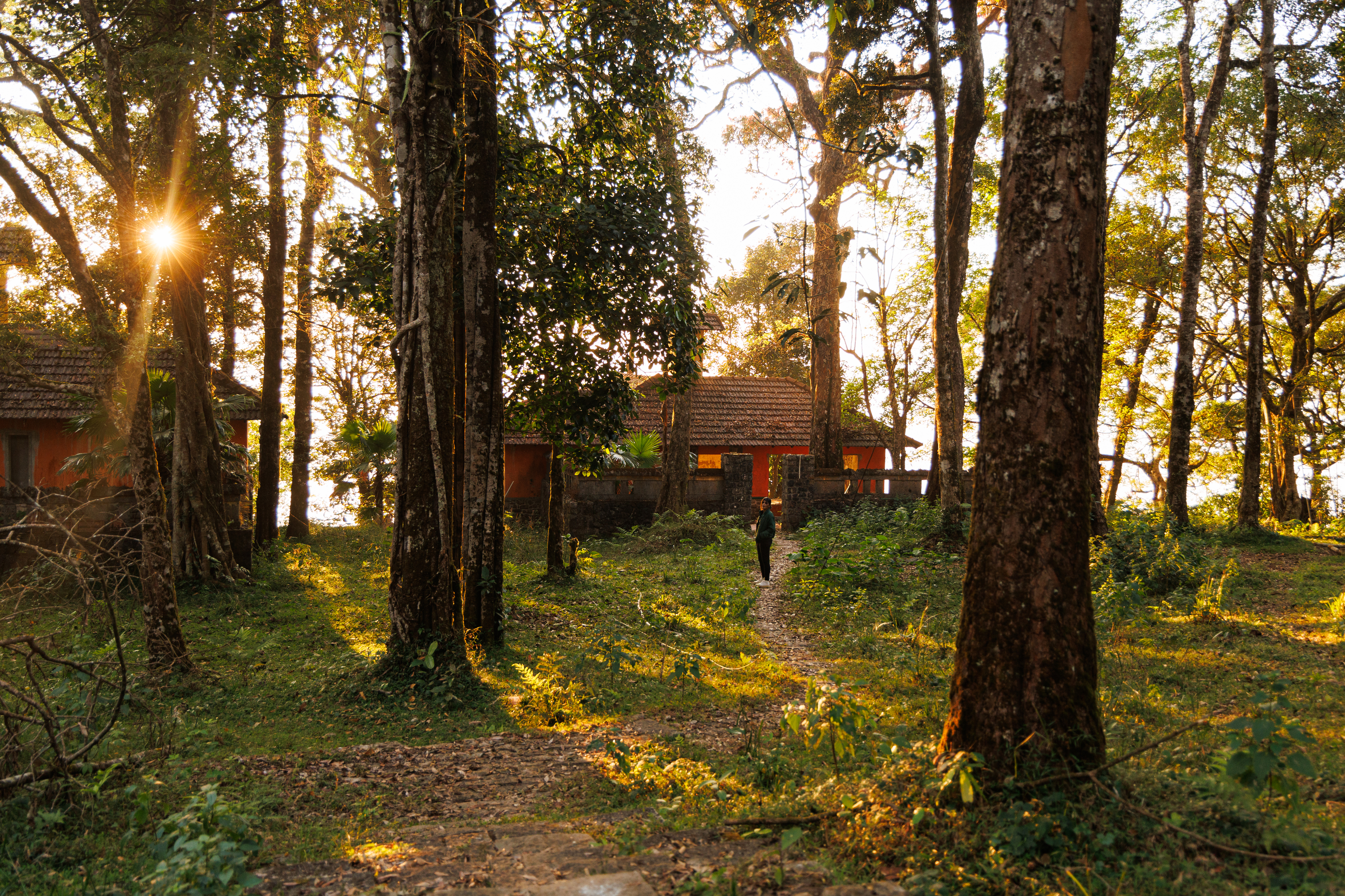 Jungle Park photo 6