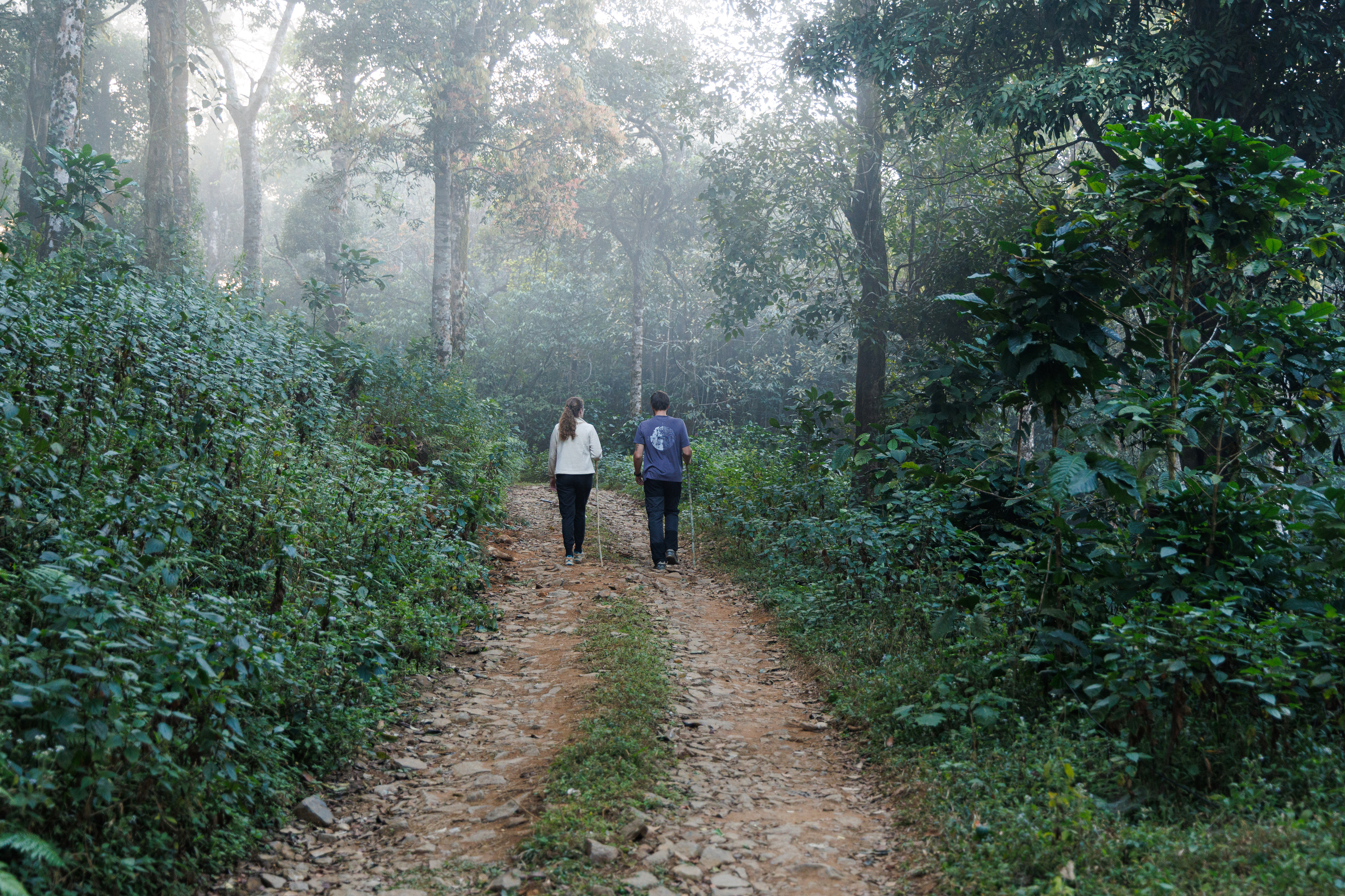 Jungle Park photo 5