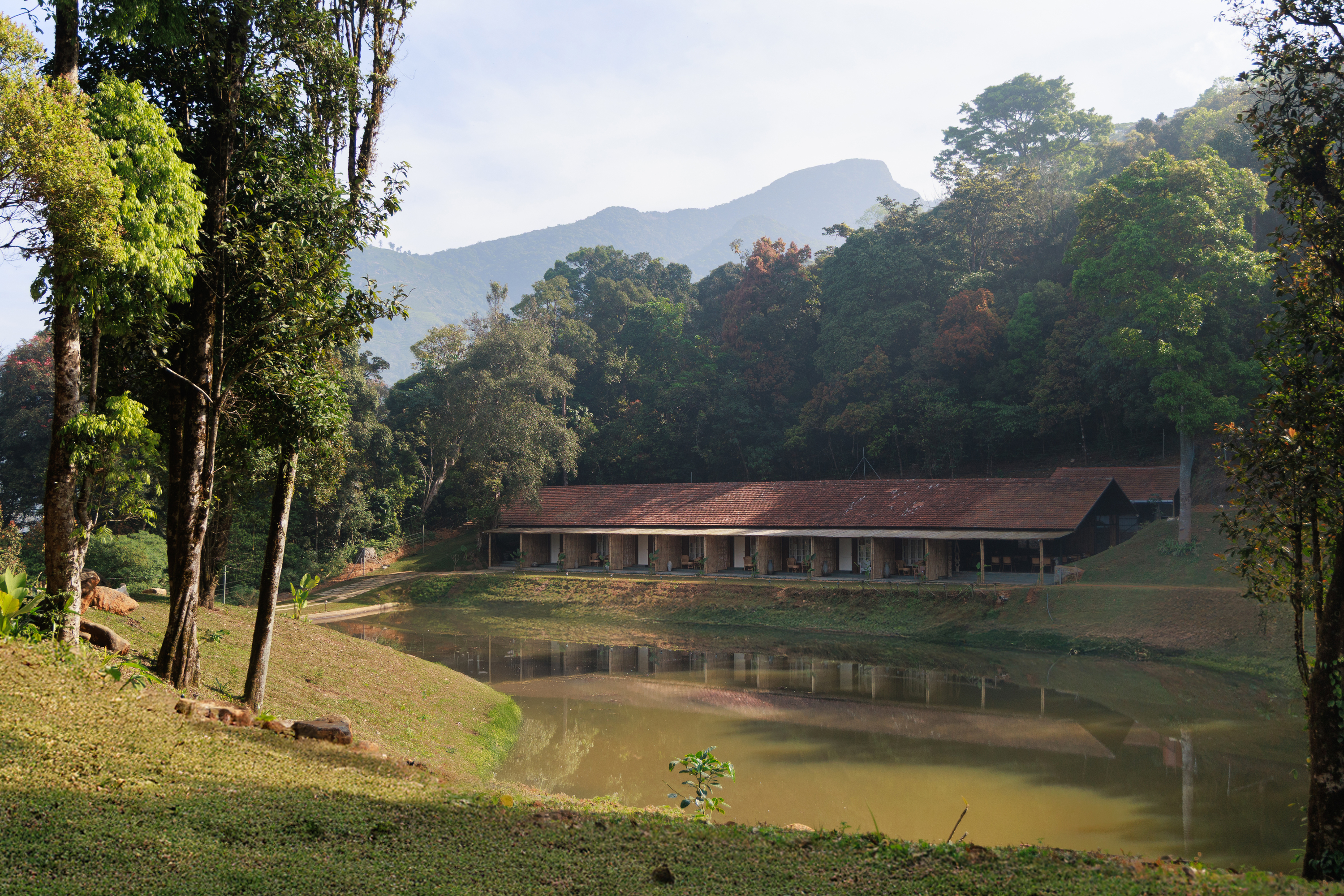 Jungle Park photo 3