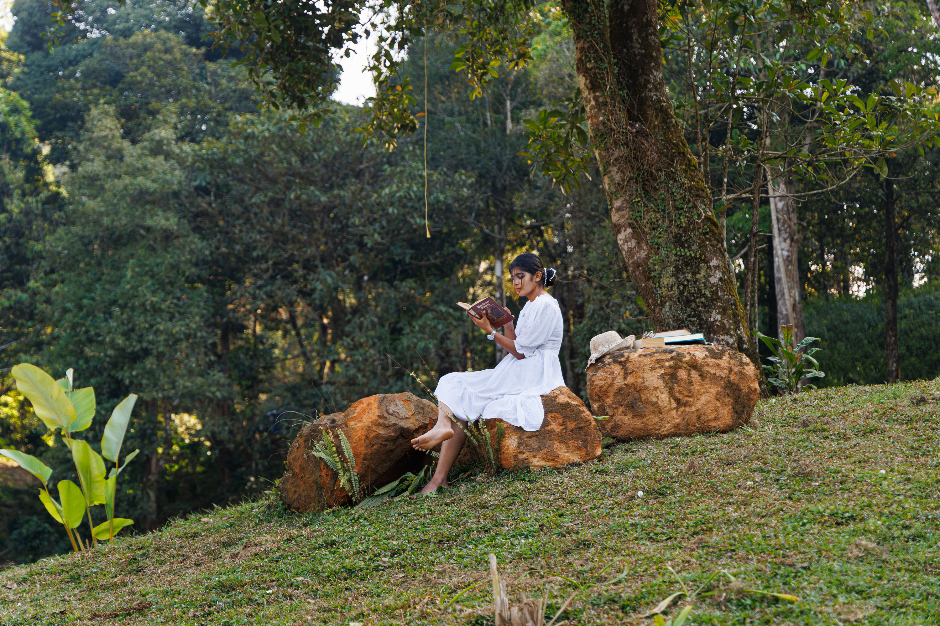 Jungle Park photo 2