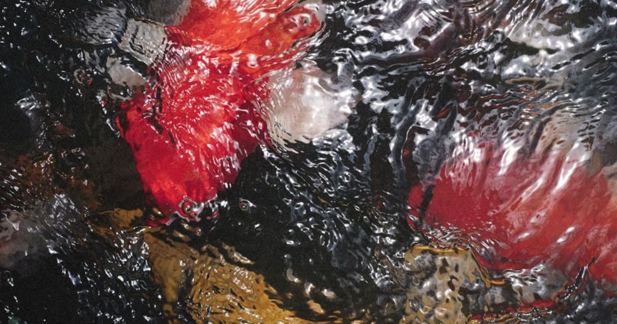 Кохання Риби у жовтні 2026: що карти бачать у твоїх стосунках